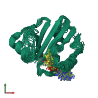 PDB entry 2k5t coloured by chain, ensemble of 20 models, front view.