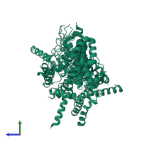 PDB entry 2k6b coloured by chain, ensemble of 20 models, side view.