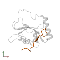 Sequestosome-1 in PDB entry 2k6q, assembly 1, front view.