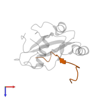 Sequestosome-1 in PDB entry 2k6q, assembly 1, top view.