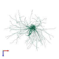 PDB entry 2k8p coloured by chain, ensemble of 36 models, top view.