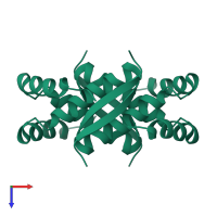 Homo tetrameric assembly 1 of PDB entry 2kby coloured by chemically distinct molecules, top view.