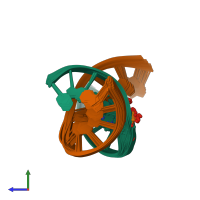 PDB entry 2kda coloured by chain, ensemble of 26 models, side view.