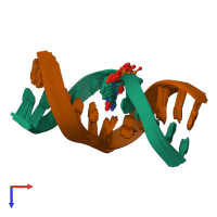 PDB entry 2kda coloured by chain, ensemble of 26 models, top view.