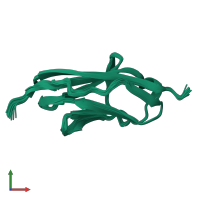 PDB entry 2kdg coloured by chain, ensemble of 25 models, front view.