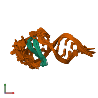 PDB entry 2kdq coloured by chain, ensemble of 10 models, front view.