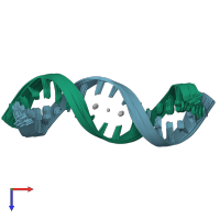 PDB entry 2ke8 coloured by chain, ensemble of 20 models, top view.
