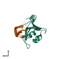 Hetero dimeric assembly 1 of PDB entry 2kfy coloured by chemically distinct molecules, side view.