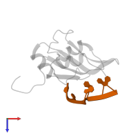 5'-R(*AP*GP*GP*GP*AP*U)-3' in PDB entry 2kfy, assembly 1, top view.