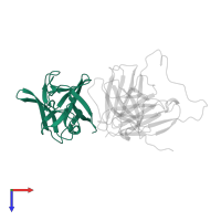 Interleukin-1 beta in PDB entry 2kh2, assembly 1, top view.