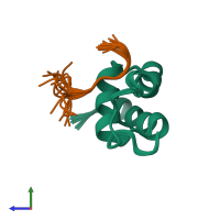 PDB entry 2khh coloured by chain, ensemble of 20 models, side view.