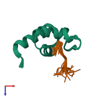 PDB entry 2khh coloured by chain, ensemble of 20 models, top view.