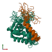 PDB entry 2khs coloured by chain, ensemble of 20 models, front view.
