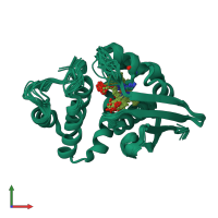 PDB entry 2kii coloured by chain, ensemble of 20 models, front view.