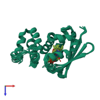 PDB entry 2kii coloured by chain, ensemble of 20 models, top view.