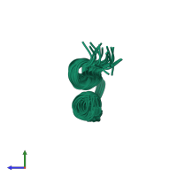 PDB entry 2kjm coloured by chain, ensemble of 20 models, side view.