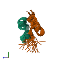 PDB entry 2kju coloured by chain, ensemble of 20 models, side view.