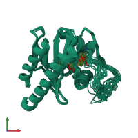 PDB entry 2kli coloured by chain, ensemble of 20 models, front view.