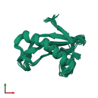 PDB entry 2kon coloured by chain, ensemble of 20 models, front view.