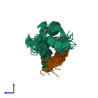 PDB entry 2krd coloured by chain, ensemble of 20 models, side view.