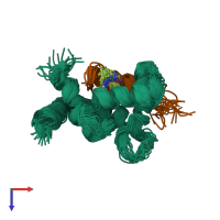 PDB entry 2krd coloured by chain, ensemble of 20 models, top view.