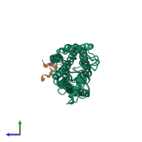 PDB entry 2ksb coloured by chain, ensemble of 5 models, side view.