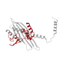 The deposited structure of PDB entry 2kxp contains 1 copy of CATH domain 1.20.58.570 (Methane Monooxygenase Hydroxylase; Chain G, domain 1) in F-actin-capping protein subunit beta isoforms 1 and 2. Showing 1 copy in chain B.