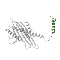 The deposited structure of PDB entry 2kxp contains 1 copy of CATH domain 6.10.250.30 (Single alpha-helices involved in coiled-coils or other helix-helix interfaces) in F-actin-capping protein subunit beta isoforms 1 and 2. Showing 1 copy in chain B.