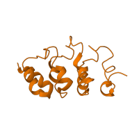 The deposited structure of PDB entry 2kxp contains 1 copy of CATH domain 1.25.40.20 (Serine Threonine Protein Phosphatase 5, Tetratricopeptide repeat) in Myotrophin. Showing 1 copy in chain C.