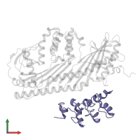 Myotrophin in PDB entry 2kxp, assembly 1, front view.