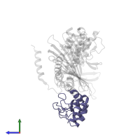 Myotrophin in PDB entry 2kxp, assembly 1, side view.