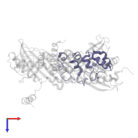 Myotrophin in PDB entry 2kxp, assembly 1, top view.