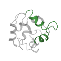 The deposited structure of PDB entry 2kyc contains 1 copy of Pfam domain PF13202 (EF hand) in Parvalbumin, thymic CPV3. Showing 1 copy in chain A.