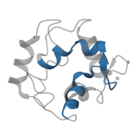 The deposited structure of PDB entry 2kyf contains 1 copy of Pfam domain PF00036 (EF hand) in Parvalbumin, thymic CPV3. Showing 1 copy in chain A.