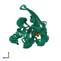 PDB entry 2l0x coloured by chain, ensemble of 20 models, side view.