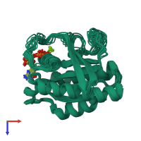 PDB entry 2l0x coloured by chain, ensemble of 20 models, top view.