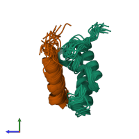 PDB entry 2l0y coloured by chain, ensemble of 20 models, side view.