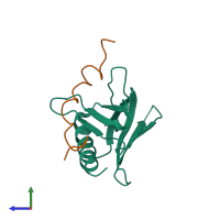 Hetero dimeric assembly 1 of PDB entry 2l2i coloured by chemically distinct molecules, side view.