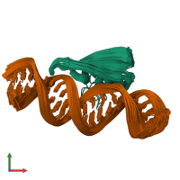 PDB entry 2l2k coloured by chain, ensemble of 20 models, front view.