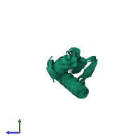 PDB entry 2l2n coloured by chain, ensemble of 10 models, side view.