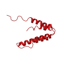 The deposited structure of PDB entry 2l9s contains 1 copy of CATH domain 1.20.1160.11 (Paired amphipathic helix 2 (pah2 repeat)) in Paired amphipathic helix protein Sin3a. Showing 1 copy in chain B.