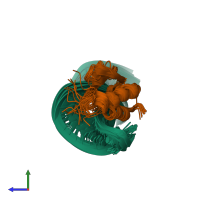 PDB entry 2lbs coloured by chain, ensemble of 16 models, side view.