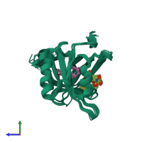 PDB entry 2lbv coloured by chain, ensemble of 20 models, side view.