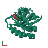 PDB entry 2lcf coloured by chain, ensemble of 20 models, front view.