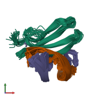 PDB entry 2lex coloured by chain, ensemble of 20 models, front view.