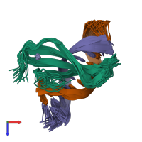 PDB entry 2lex coloured by chain, ensemble of 20 models, top view.