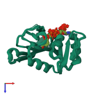 PDB entry 2lf1 coloured by chain, ensemble of 30 models, top view.