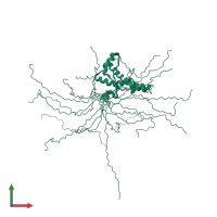 PDB entry 2lft coloured by chain, ensemble of 20 models, front view.