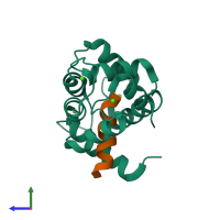 PDB entry 2lgf coloured by chain, side view.