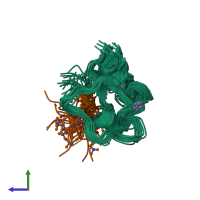 PDB entry 2lgk coloured by chain, ensemble of 20 models, side view.